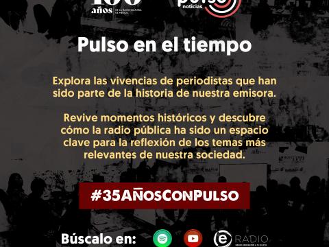 Imagen para Pulso en el tiempo